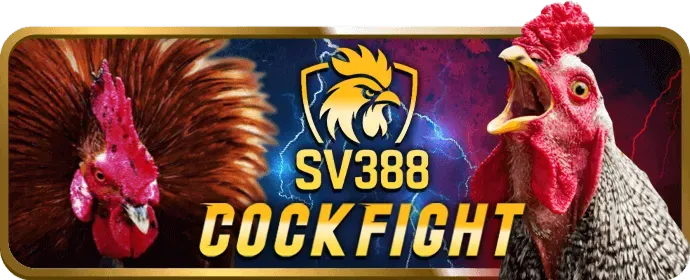 Cách chơi Slots